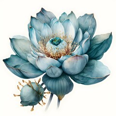 a Blue Lotus Flower watercolor detailed Beautyful no background 