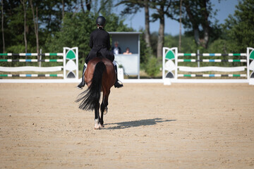 Dressage rider in tails entering the greeting lineup, photographed from behind, with the judges out of focus in the background..