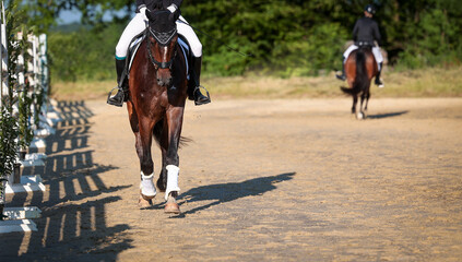 Dressage horse with rider photographed from the front at a trot, in the background another rider in...