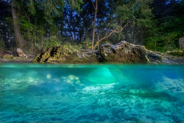Over-Under of the Cave Entrance at Charles Spring, Suwannee County, Florida