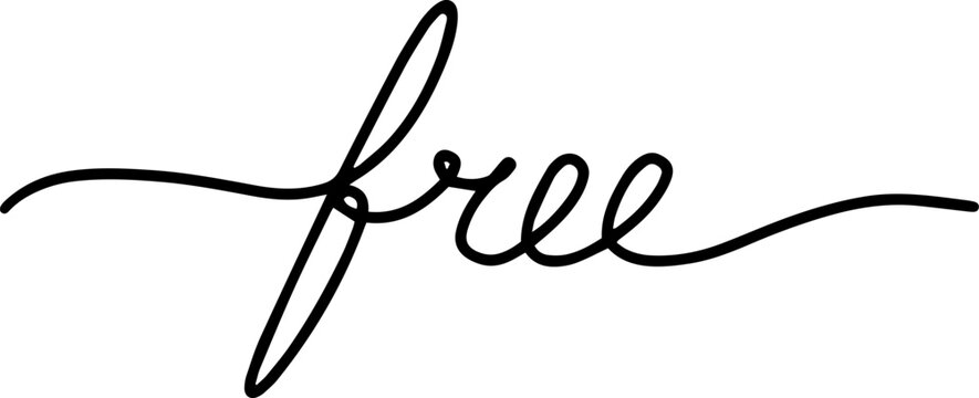 Free hand drawn lettering. Styled calligraphy. Vector.