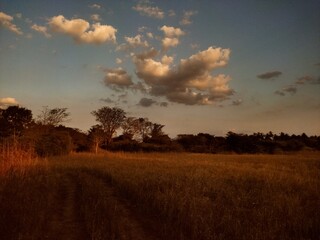 sunset over the field with clouds 