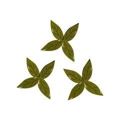 basil food seasoning, leaf green