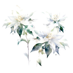 Fototapeta na wymiar set of white floral watercolor, flower watercolor, leaves watercolor 