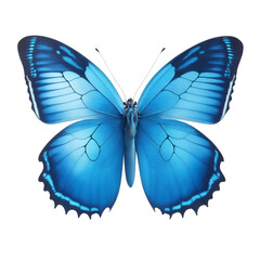 Blue butterfly for decoration works transparent background (PNG)