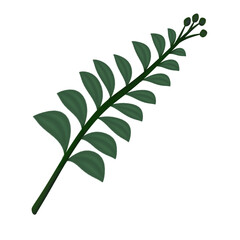 illustration set, icon set of green grass and leaves, banana leaves, shrubs, grape leaves, palm leaves, vines, ferns