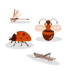 set of insects and beetles,on a white background