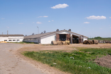 Fototapeta na wymiar a farm on the outskirts of a village in Belarus