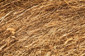 straw, dry straw texture background, vintage style for design