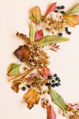 Banner with autumn leaves and berries