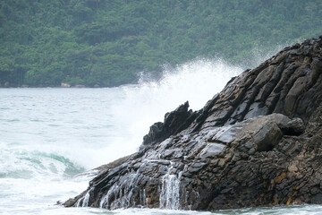 Rocks inside sea with horizon background. Sea foam near rocks with sea and forest background. 