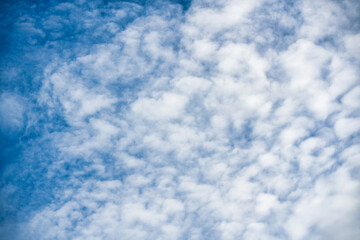 Obraz premium White cloud on blue sky in sunny day