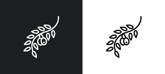 olives on a branch line icon in white and black colors. olives on a branch flat vector icon from olives on a branch collection for web, mobile apps and ui.