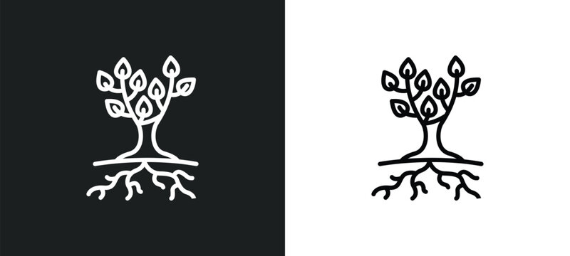 tree and roots line icon in white and black colors. tree and roots flat vector icon from tree roots collection for web, mobile apps ui.