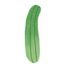 Cucumber