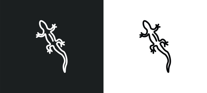 lizard line icon in white and black colors. lizard flat vector icon from lizard collection for web, mobile apps and ui.
