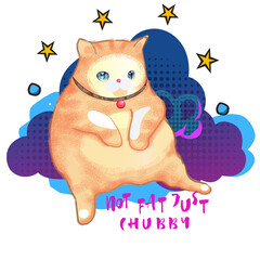 orange cat Not fat just chubby