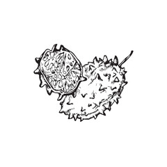 Tropical fruit illustration, fruit drawing, jungle, tropical, island, tattoo