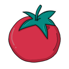 illustration of a tomato