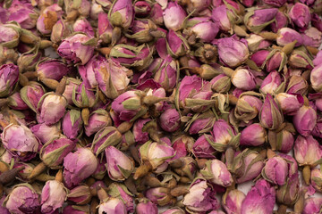 Dry tea roses isolated on white background.