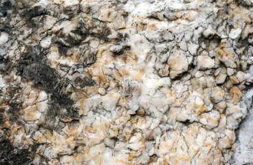 stone surface texture detail macro photography
