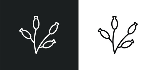 rosa canina line icon in white and black colors. rosa canina flat vector icon from rosa canina collection for web, mobile apps and ui.