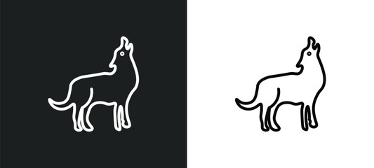 coyote line icon in white and black colors. coyote flat vector icon from coyote collection for web, mobile apps and ui.