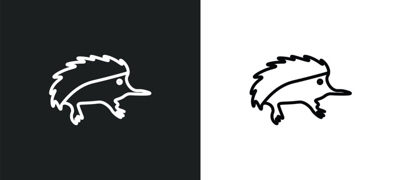 echidna line icon in white and black colors. echidna flat vector icon from echidna collection for web, mobile apps and ui.