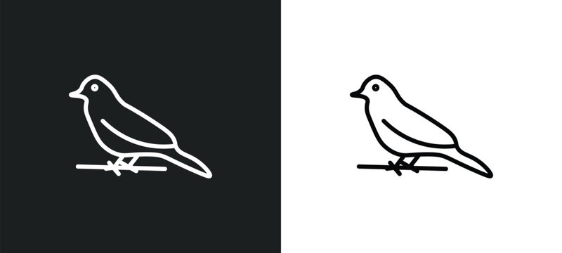 canary line icon in white and black colors. canary flat vector icon from canary collection for web, mobile apps and ui.