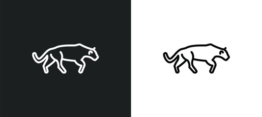 panther line icon in white and black colors. panther flat vector icon from panther collection for web, mobile apps and ui.