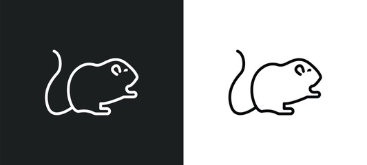 hamster line icon in white and black colors. hamster flat vector icon from hamster collection for web, mobile apps and ui.