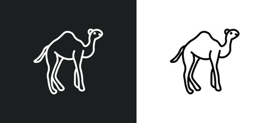 camel line icon in white and black colors. camel flat vector icon from camel collection for web, mobile apps and ui.