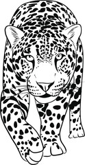 Animal Illustration - Wildlife - Black & White 