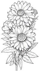 Cute Zinnia flower in coloring page style illustration. Line art painting. Generative AI