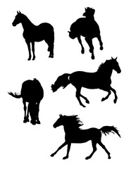 Silhouettes of horses