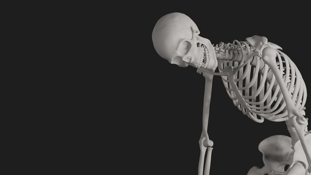skeleton posing 3d render with black background
