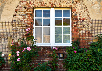 Fototapeta na wymiar Window with Roses, Westerwinkel Castle, North Rhine-Westphalia, Germany 