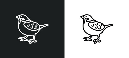sparrow line icon in white and black colors. sparrow flat vector icon from sparrow collection for web, mobile apps and ui.