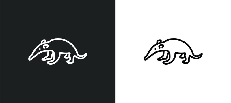 ant eater line icon in white and black colors. ant eater flat vector icon from ant eater collection for web, mobile apps and ui.