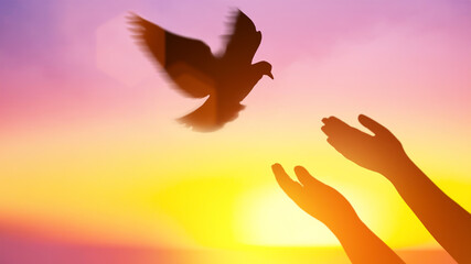 Silhouette pigeon return coming to hands in air vibrant sunlight sunset sunrise background. Freedom making merit concept. Nature animal people hope pray holy faith. International Day of Peace theme.
