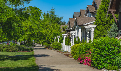 Quite green sidewalk at residential area in British Columbia. Beautiful summer foliage and row of single-family houses