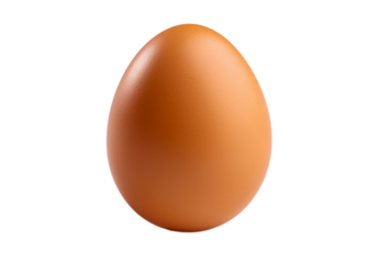 Brown egg isolated on white background