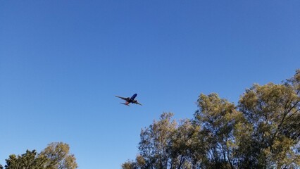 The flying airplane onto the sky of the park