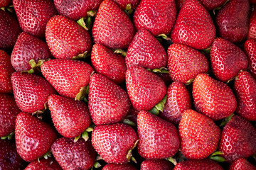 delicious freshly harvested chilean strawberries