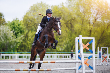 Young woman riding horseback jumping over the hurdle on showjumping course in equestrian sports...