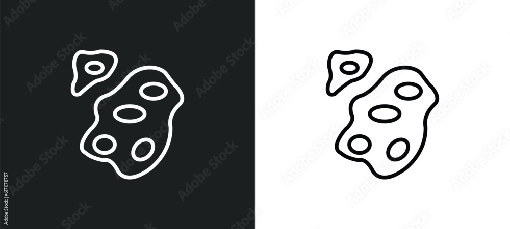 Poster asteroids line icon in white and black colors. asteroids flat vector icon from asteroids collection 