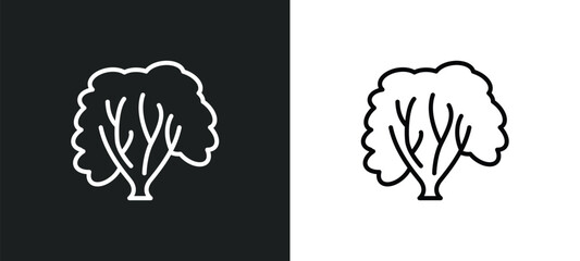 american hornbeam tree line icon in white and black colors. american hornbeam tree flat vector icon from american hornbeam tree collection for web, mobile apps and ui.