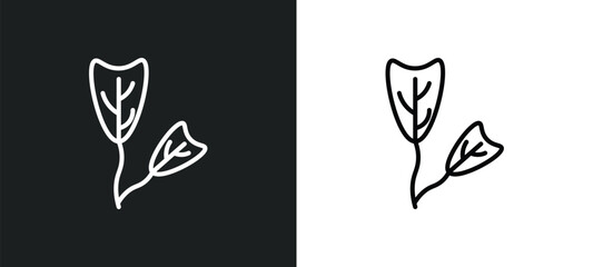 obcordate line icon in white and black colors. obcordate flat vector icon from obcordate collection for web, mobile apps and ui.