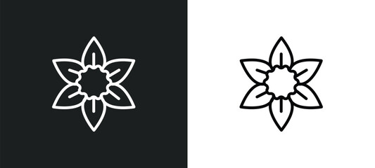 daffodil line icon in white and black colors. daffodil flat vector icon from daffodil collection for web, mobile apps and ui.