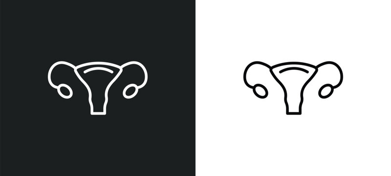 uterus line icon in white and black colors. uterus flat vector icon from uterus collection for web, mobile apps and ui.
